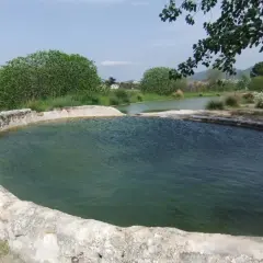 Piscine naturali delle terme di San Sisto, con acqua verde e bordi in pietra grezza, circondate da vegetazione lussureggiante sotto un cielo azzurro.