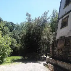 Un sentiero conduce verso la casa pendente di Bomarzo, circondata da alberi lussureggianti e un cielo azzurro.