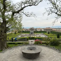 Giardino all'italiana con fontane e siepi geometriche, con un grande albero in primo piano. La serpara domina il paesaggio.