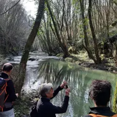 Passeggiata nel parco della Mola a Oriolo Romano, con un fiume che scorre tra alberi secolari e rocce muschiose.