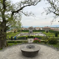 Giardini rinascimentali di Villa Lante della Rovere, con fontane, siepi geometriche e un grande albero in primo piano.