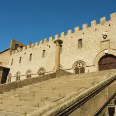 Imponente scalinata conduce al Palazzo dei Papi, parte del duomo di Viterbo, con finestre gotiche e merlature.
