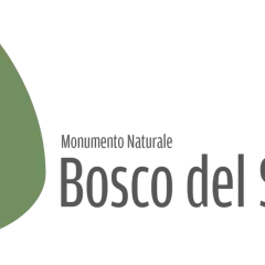 Monumento Naturale Bosco del Sasseto: un logo stilizzato con un edificio gotico e il nome del parco.