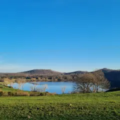 Paesaggio sereno con lago specchiato, colline boscose e prato verde. La **caldera di Latera** offre uno spettacolo tranquillo sotto un cielo azzurro.