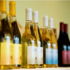 Bottiglie di vini laziali famosi, bianchi e rossi, allineate su uno scaffale, pronte per essere degustate.