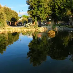 Un laghetto con riflessi verdi e azzurri, un'isola rocciosa con una fontana e alberi rigogliosi in un prato giardino a Viterbo.