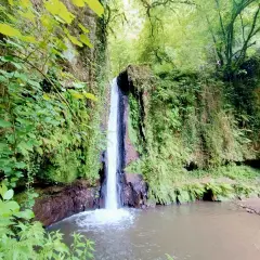 Cascate di Nepi, un'oasi verde con acqua cristallina che scende tra rocce e vegetazione lussureggiante.