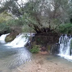 Le cascate della Mola, con la loro acqua cristallina che scende tra rocce e vegetazione, creano uno scenario naturale incantevole.