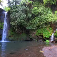 La cascata del picchio scende maestosa tra rocce ricoperte di muschio e vegetazione lussureggiante, creando un'oasi di pace.