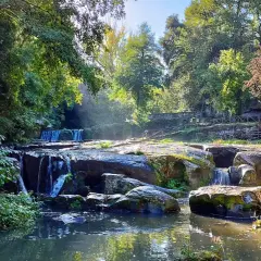 Cascata e rocce muschiose in un bosco lussureggiante, ideale per il trekking in Tuscia. Sentieri e ponticelli invitano all'esplorazione.