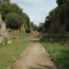 Sentiero scavato nella roccia, parte della Via Amerina, tra alberi e vegetazione rigogliosa.