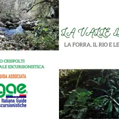 La sorgente Nepi, un ruscello tra rocce e vegetazione lussureggiante, con il logo AIIGAE e il nome della valle.
