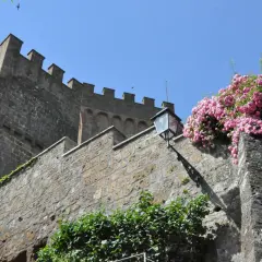 Il castello di Proceno, con le sue mura antiche e le rose rosa che lo adornano, si staglia contro il cielo azzurro.