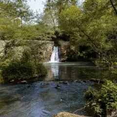 Cascata e fiume tra la vegetazione lussureggiante. Un luogo incantevole da scoprire, tra le meraviglie di Oriolo cosa vedere.