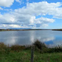 Vaste distese d'acqua riflettono un cielo azzurro con nuvole bianche alle saline di Tarquinia.