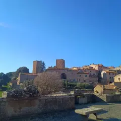 Panoramica di Piansano, Viterbo, con torri medievali e case in pietra sotto un cielo azzurro.