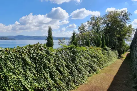 Un sentiero fiancheggiato da un muro di pietra e una siepe rigogliosa conduce alla vista del **lago di Capodimonte**, con un'isola in lontananza sotto un cielo azzurro e nuvoloso.
