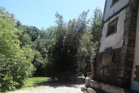 Un sentiero conduce verso la casa pendente di Bomarzo, circondata da alberi lussureggianti e un cielo azzurro.