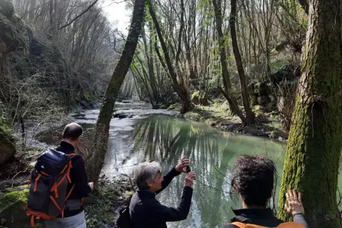 Passeggiata nel parco della Mola a Oriolo Romano, con un fiume che scorre tra alberi secolari e rocce muschiose.