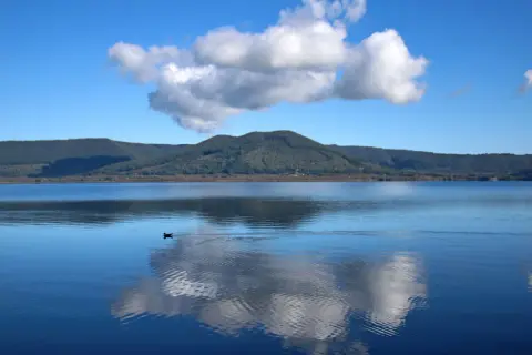 Un uccello nuota nel lago di **Ronciglione**, riflettendo le nuvole bianche su un cielo azzurro.