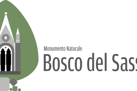Monumento Naturale Bosco del Sasseto: un logo stilizzato con un edificio gotico e il nome del parco.