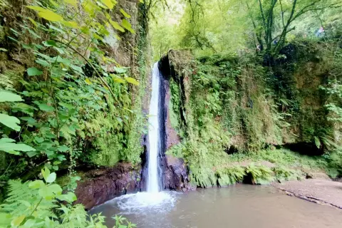 Cascate di Nepi, un'oasi verde con acqua cristallina che scende tra rocce e vegetazione lussureggiante.