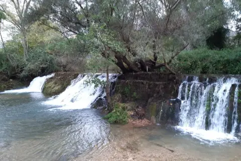 Le cascate della Mola, con la loro acqua cristallina che scende tra rocce e vegetazione, creano uno scenario naturale incantevole.