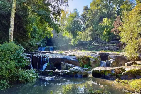 Cascata e rocce muschiose in un bosco lussureggiante, ideale per il trekking in Tuscia. Sentieri e ponticelli invitano all'esplorazione.