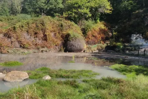 Acqua torbida e vegetazione rigogliosa nella valle del Mignone, con rocce e un sentiero che si perde tra i boschi.