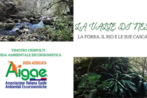 La sorgente Nepi, un ruscello tra rocce e vegetazione lussureggiante, con il logo AIIGAE e il nome della valle.