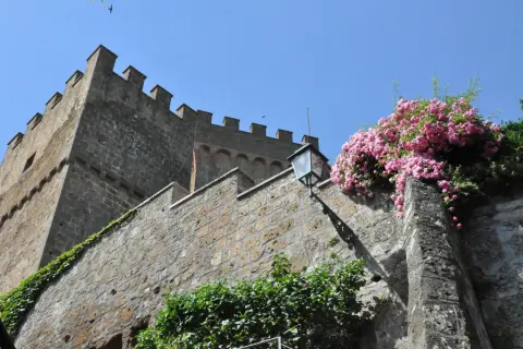 Il castello di Proceno, con le sue mura antiche e le rose rosa che lo adornano, si staglia contro il cielo azzurro.
