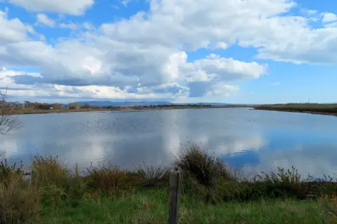 Vaste distese d'acqua riflettono un cielo azzurro con nuvole bianche alle saline di Tarquinia.