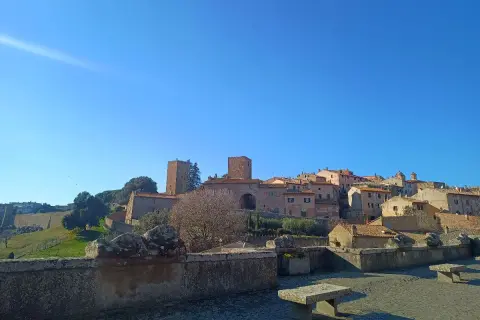 Panoramica di Piansano, Viterbo, con torri medievali e case in pietra sotto un cielo azzurro.