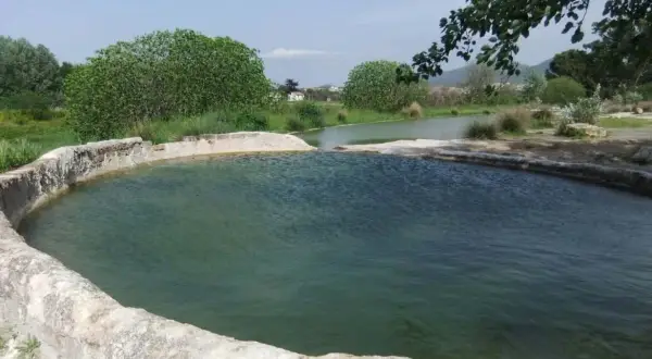 Piscine naturali delle terme di San Sisto, con acqua verde e bordi in pietra grezza, circondate da vegetazione lussureggiante sotto un cielo azzurro.