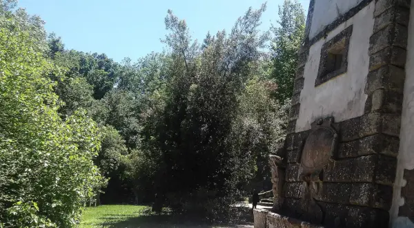 Un sentiero conduce verso la casa pendente di Bomarzo, circondata da alberi lussureggianti e un cielo azzurro.