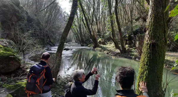 Passeggiata nel parco della Mola a Oriolo Romano, con un fiume che scorre tra alberi secolari e rocce muschiose.