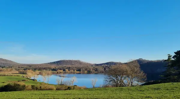 Paesaggio sereno con lago specchiato, colline boscose e prato verde. La **caldera di Latera** offre uno spettacolo tranquillo sotto un cielo azzurro.