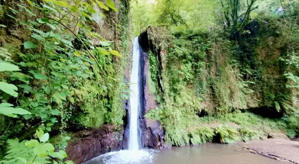 Cascate di Nepi, un'oasi verde con acqua cristallina che scende tra rocce e vegetazione lussureggiante.