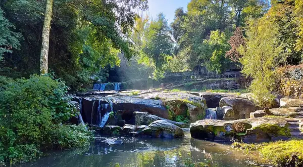 Cascata e rocce muschiose in un bosco lussureggiante, ideale per il trekking in Tuscia. Sentieri e ponticelli invitano all'esplorazione.