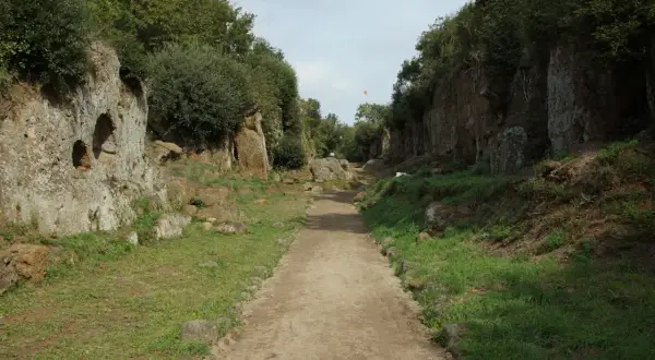 Sentiero scavato nella roccia, parte della Via Amerina, tra alberi e vegetazione rigogliosa.