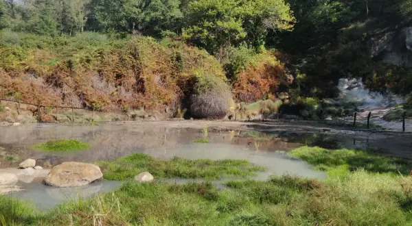 Acqua torbida e vegetazione rigogliosa nella valle del Mignone, con rocce e un sentiero che si perde tra i boschi.