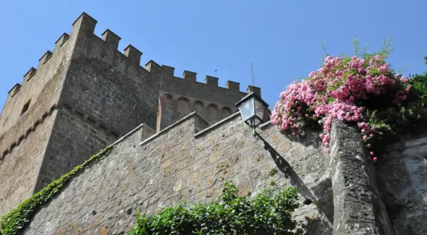 Il castello di Proceno, con le sue mura antiche e le rose rosa che lo adornano, si staglia contro il cielo azzurro.