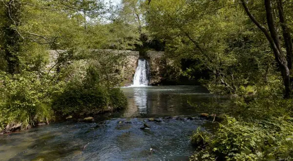 Cascata e fiume tra la vegetazione lussureggiante. Un luogo incantevole da scoprire, tra le meraviglie di Oriolo cosa vedere.