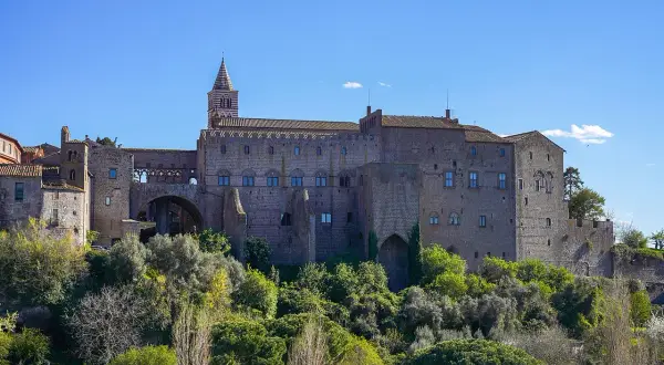 Il maestoso papal palace si erge su una collina verdeggiante, con la sua architettura medievale che domina il paesaggio.