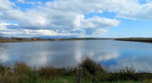 Vaste distese d'acqua riflettono un cielo azzurro con nuvole bianche alle saline di Tarquinia.