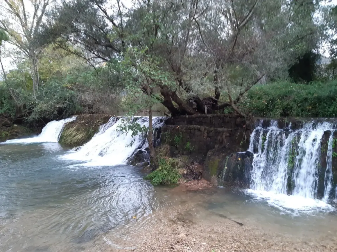 Le cascate della Mola, con la loro acqua cristallina che scende tra rocce e vegetazione, creano uno scenario naturale incantevole.