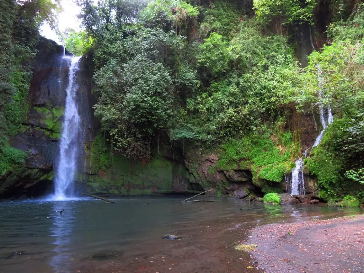 La cascata del picchio scende maestosa tra rocce ricoperte di muschio e vegetazione lussureggiante, creando un'oasi di pace.