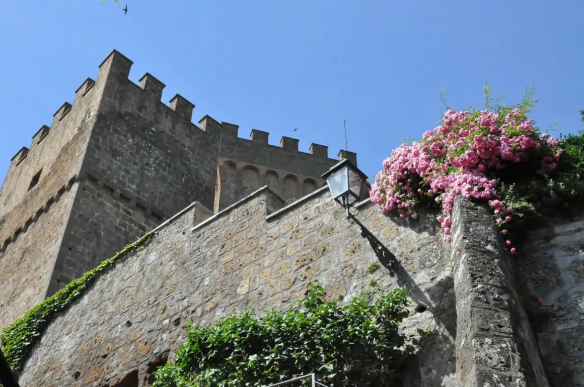 Il castello di Proceno, con le sue mura antiche e le rose rosa che lo adornano, si staglia contro il cielo azzurro.