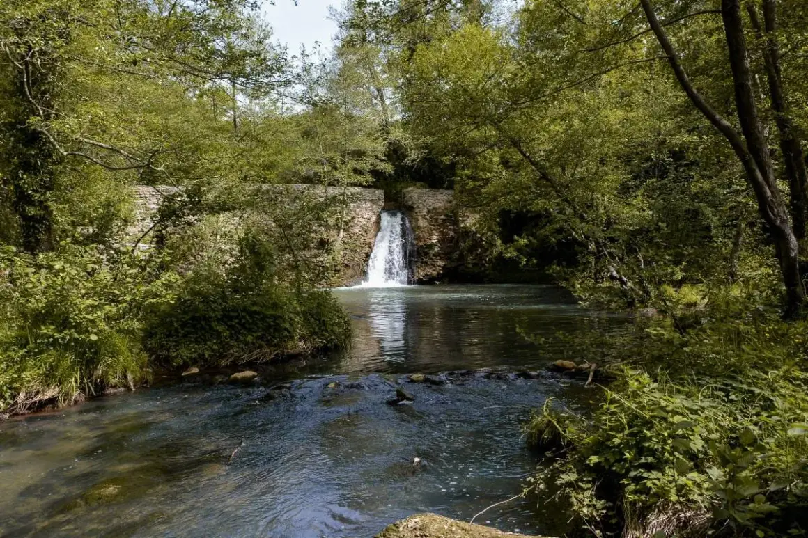 Cascata e fiume tra la vegetazione lussureggiante. Un luogo incantevole da scoprire, tra le meraviglie di Oriolo cosa vedere.