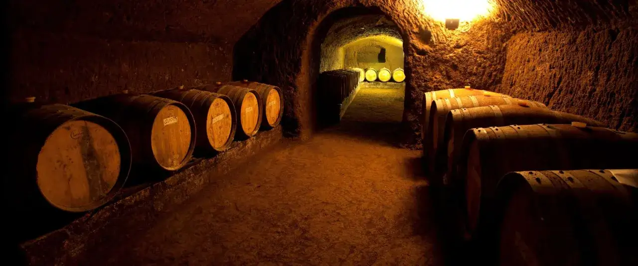 Antica cantina a Caprarola, con botti di legno disposte lungo un corridoio scavato nella roccia, illuminate da una luce calda.